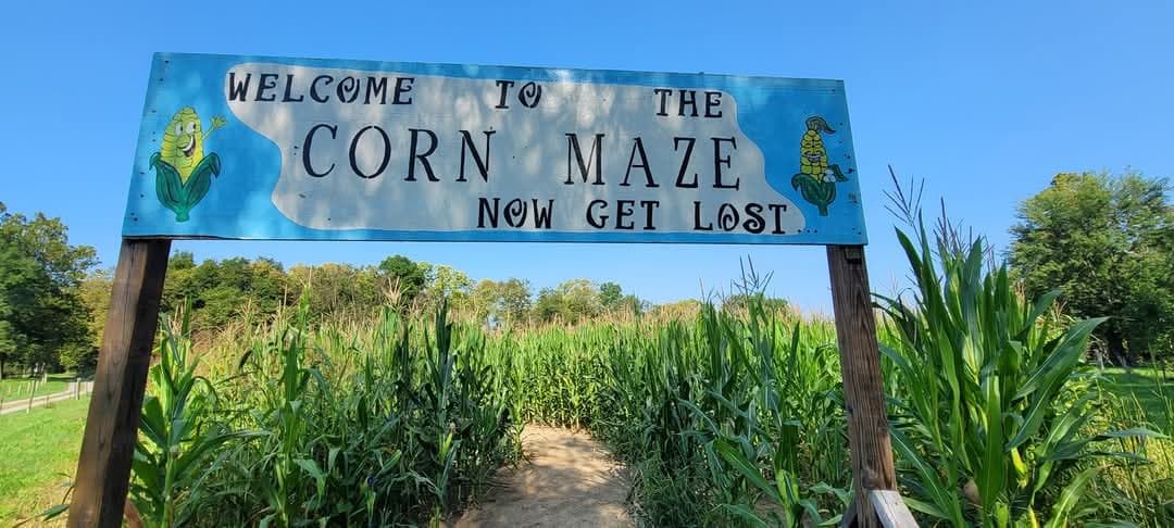 Entrance to the Old McDonald's corn maze