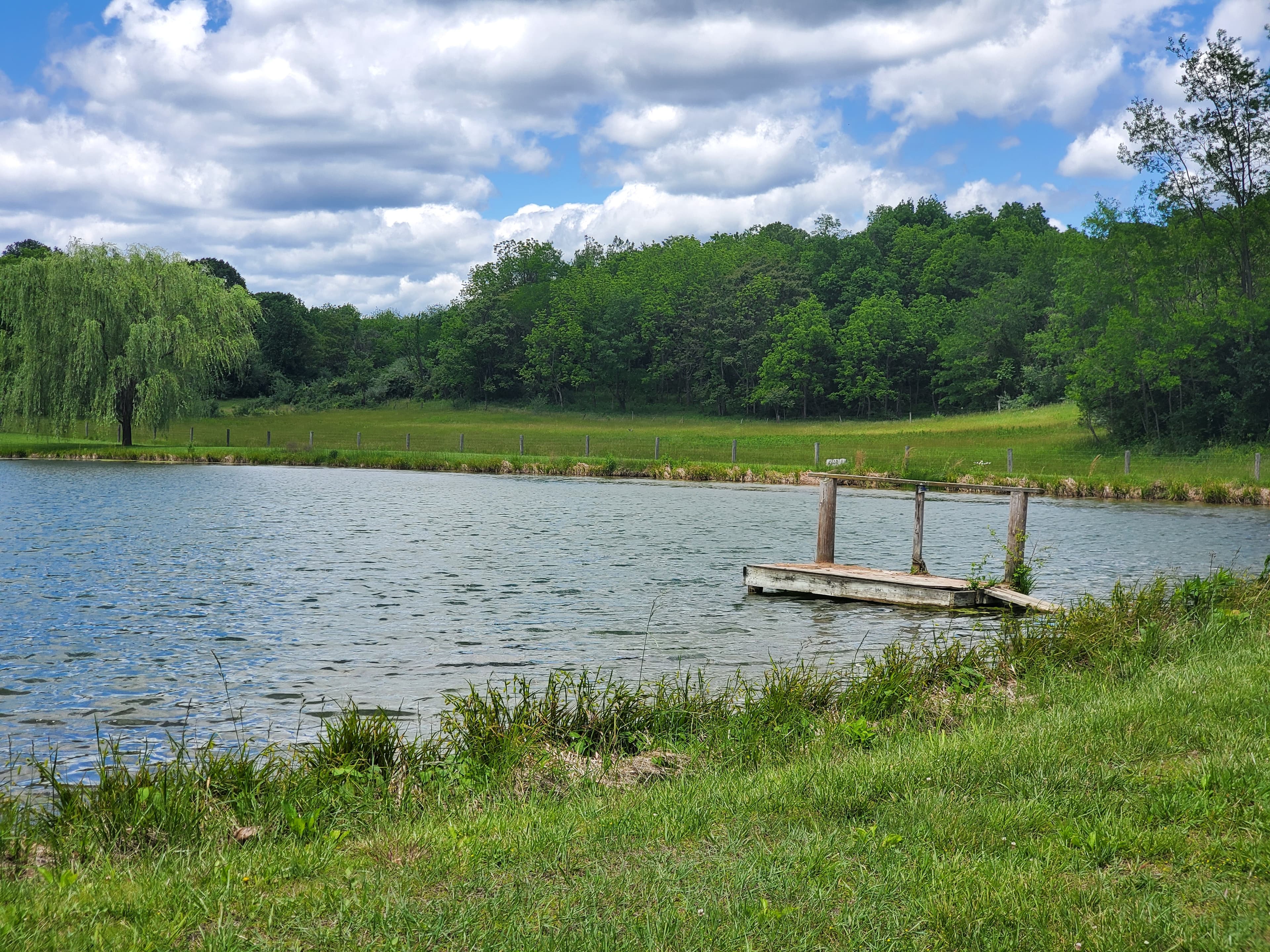 The pond and dock along the hayride route