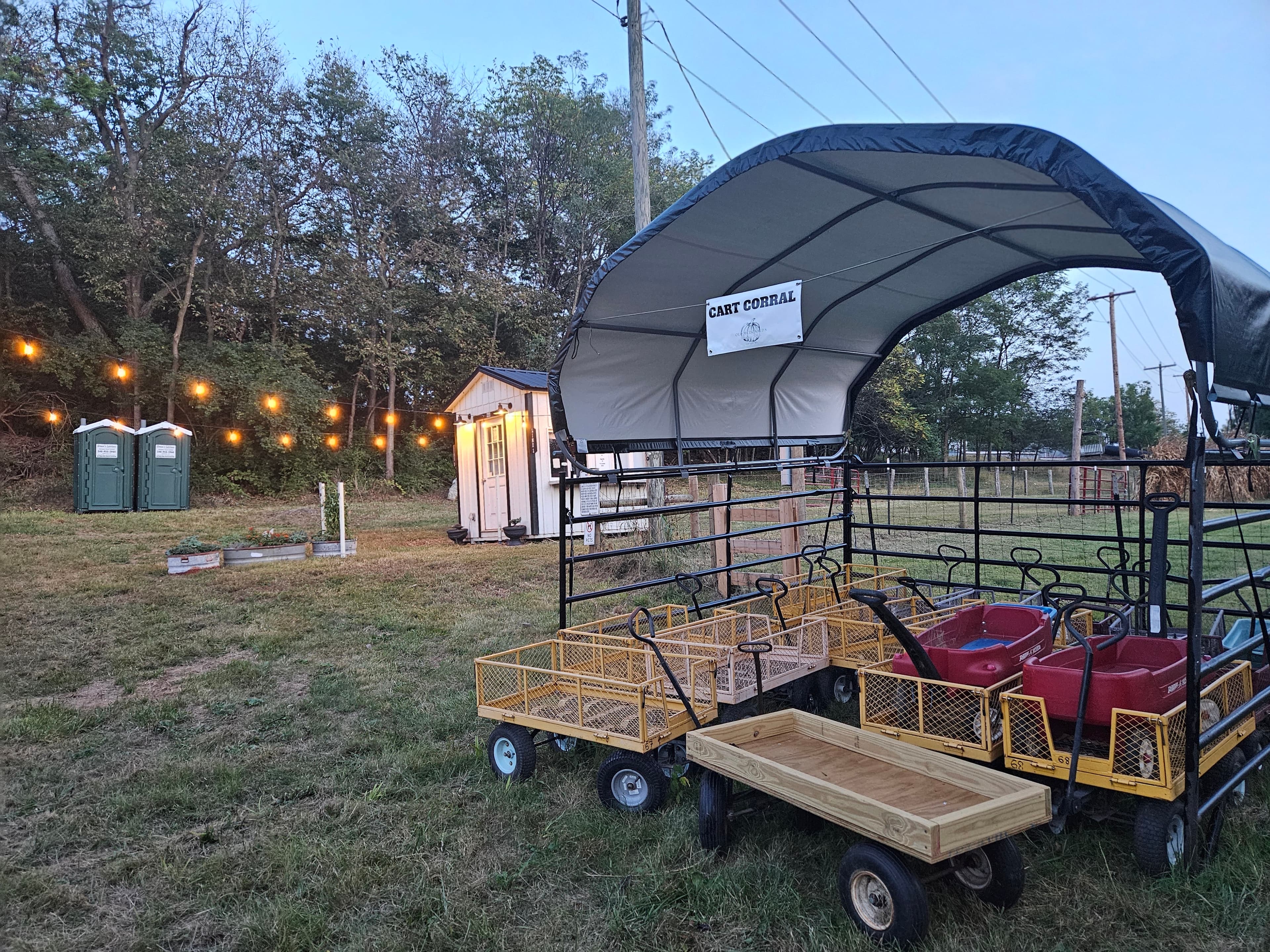 Wagons available near the pumpkin patch entrance