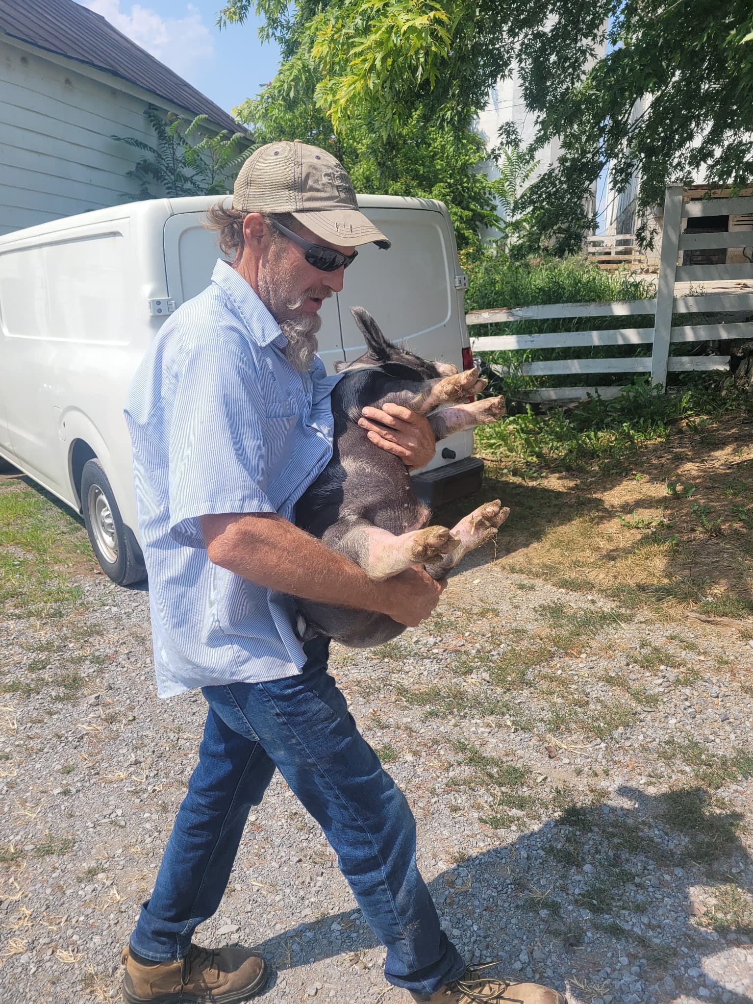 Charlie Bill carries a piglet