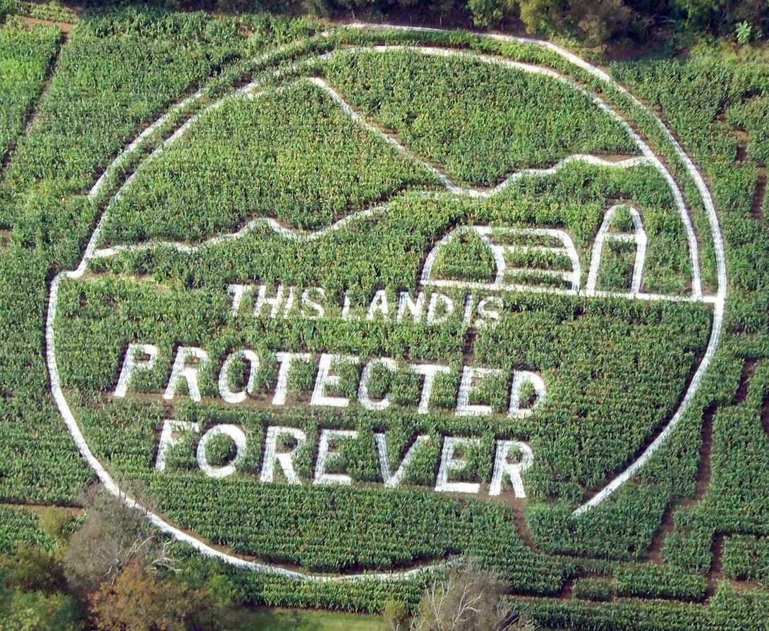 A Glencoe Farm corn maze cut with the words This Land Is Protected Forever