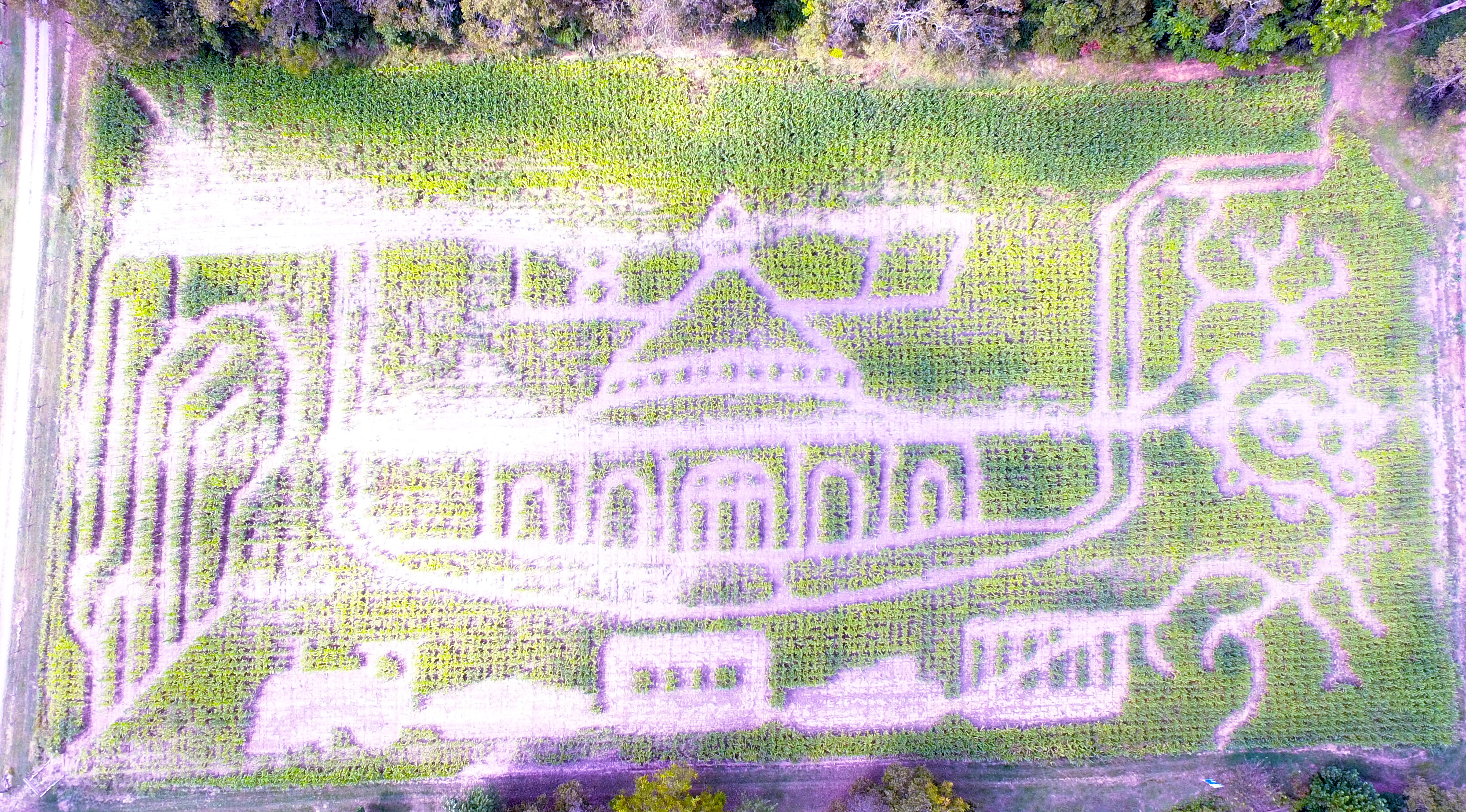 Martinsburg 1877 - Flooded Corn Maze